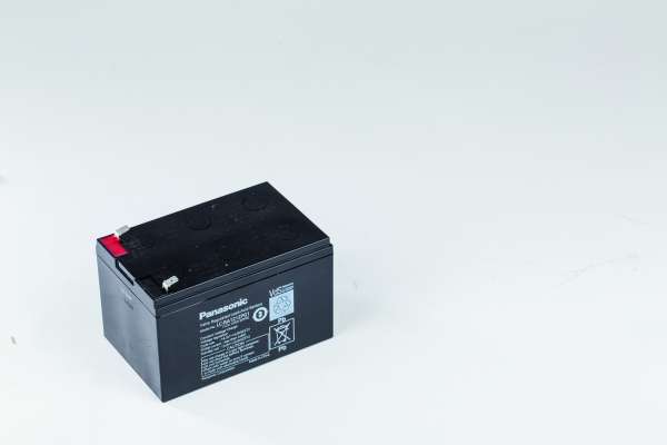 Batterie AGM 12 Ah LC-RA1212P für FRIENDLY ROBOTICS Bild 1